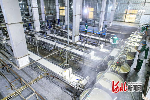 廊坊广阳 机械化赋能农产品深加工，量子计算技术助力京津菜篮子保供